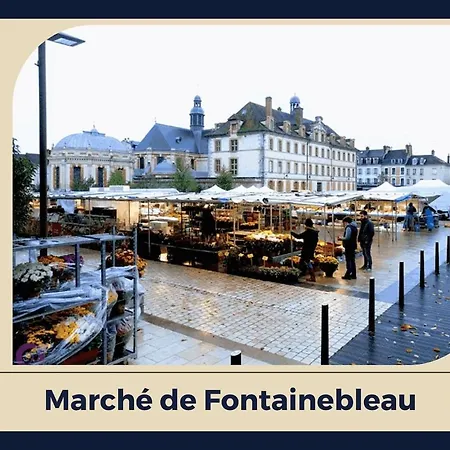L'envol In * Fontainebleau