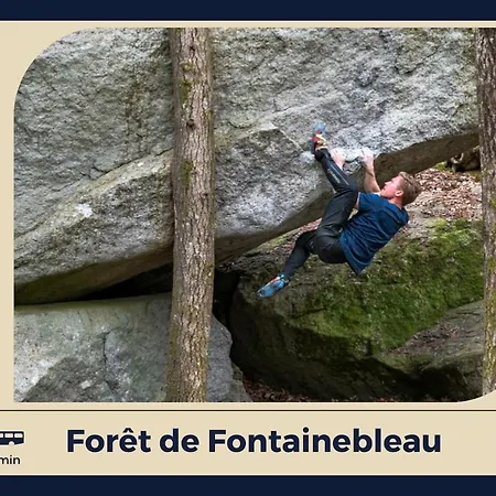 L'envol In Fontainebleau